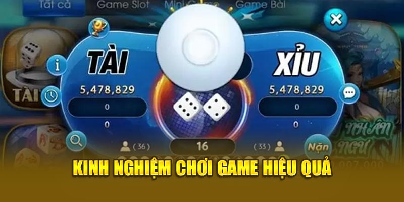 Kinh nghiệm chơi tài xỉu typhu88 hiệu quả