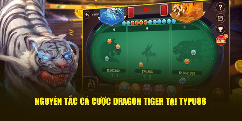 Nguyên tắc cá cược Dragon Tiger tại Typhu88