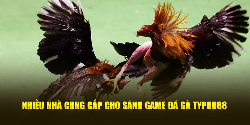 Nhiều nhà cung cấp cho sảnh game Đá gà Typhu88